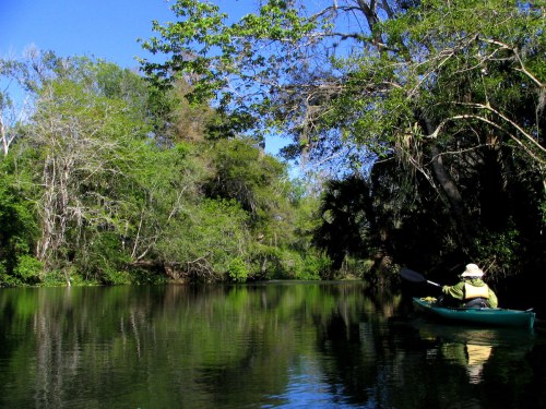 A person in a kayak paddles through a serene, green landscape with trees reflecting on calm water.