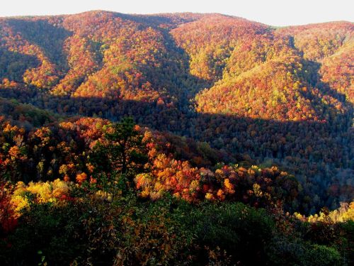 Vibrant autumn landscape with rolling hills covered in colorful foliage, showcasing shades of orange, red, and yellow.