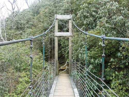 A wooden suspension bridge surrounded by lush green foliage, leading into a dense forest.