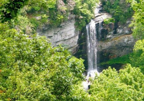 A serene waterfall cascading down rocky cliffs, surrounded by lush green trees and foliage.