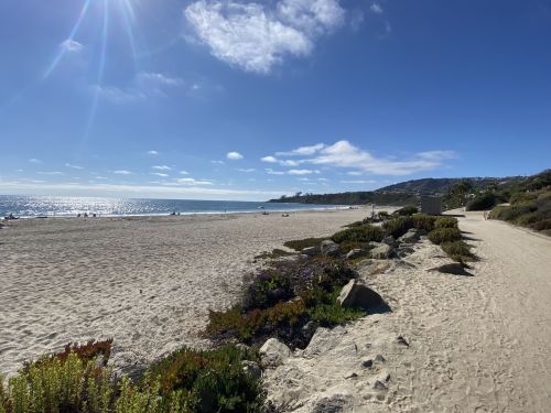 A sunny beach scene with gentle waves, sandy shore, and greenery along the path under a clear blue sky.