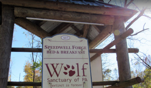 Sign for Speedwell Forge Bed & Breakfast, featuring "Wolf Sanctuary of PA" with a paw print logo.