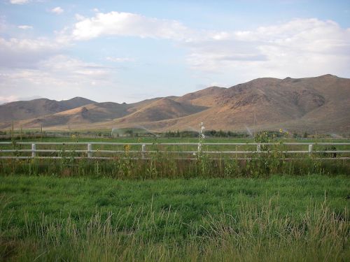A serene landscape featuring green grass, a wooden fence, and rolling hills under a partly cloudy sky.