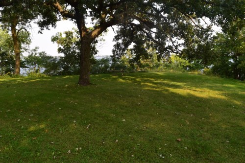 A grassy area under a large tree, with a view of distant trees and a body of water in the background.