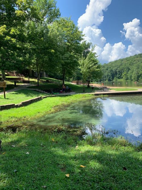 A serene lake surrounded by green trees and grass, with fluffy clouds reflecting in the water on a sunny day.