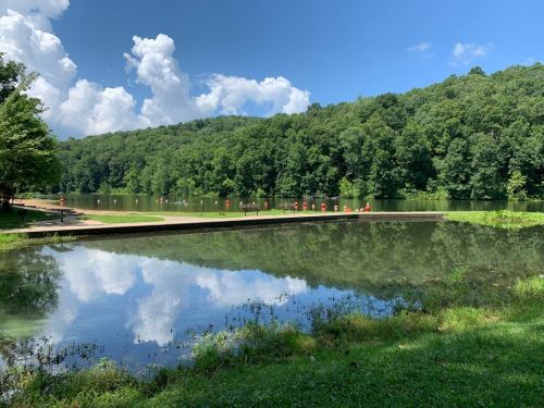 A serene lake surrounded by lush green trees, reflecting clouds and a dock in the foreground.