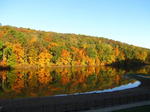A serene lake surrounded by vibrant autumn foliage reflecting on the water's surface under a clear blue sky.