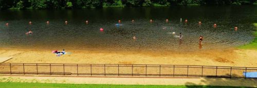 A sandy beach by a calm river, with people swimming and enjoying the water on a sunny day.