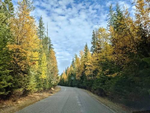 A winding road surrounded by trees with vibrant autumn foliage under a partly cloudy sky.