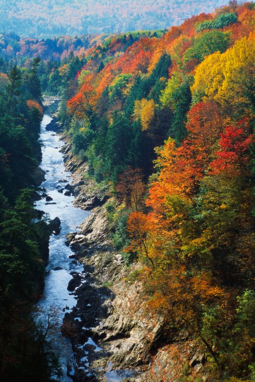 A scenic view of a river winding through a vibrant forest with autumn foliage in shades of red, orange, and yellow.