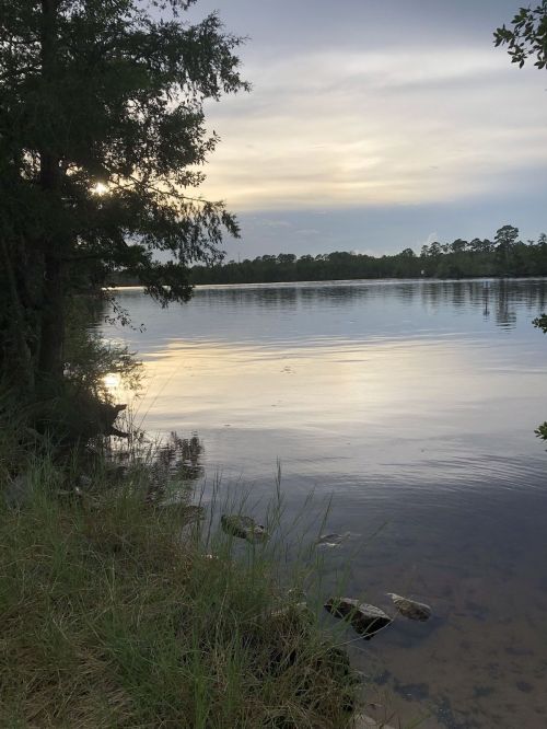 A serene lake at sunset, surrounded by trees and grassy banks, with calm water reflecting the sky.
