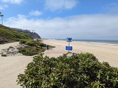 A sandy beach with a clear sky, green shrubs in the foreground, and signs indicating beach rules in the distance.