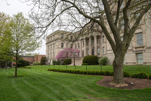 A landscaped area with green grass, trees, and a pink flowering tree in front of a large, classical-style building.