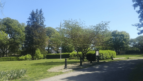A sunny park scene with green trees, a flagpole, and a gravel path surrounded by lush greenery.