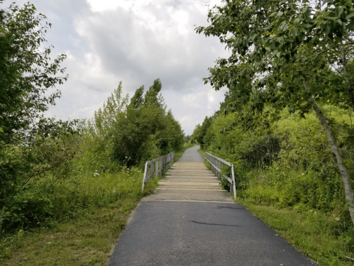 A wooden walkway leads through lush greenery under a cloudy sky.
