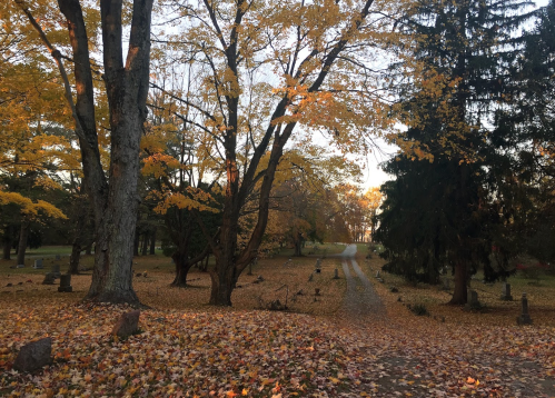 A serene cemetery path lined with trees and fallen autumn leaves, creating a peaceful, reflective atmosphere.