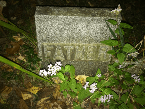 A weathered gravestone engraved with the word "FATHER," surrounded by greenery and small flowers.