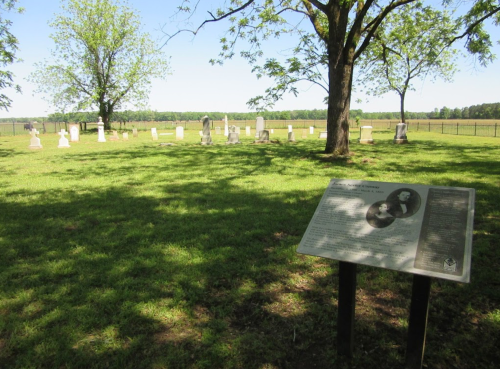 A grassy cemetery with several gravestones and a historical marker under a tree on a sunny day.