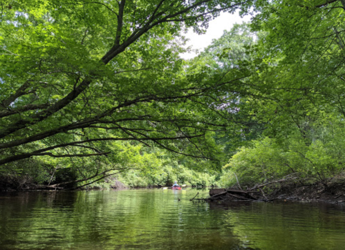 A serene river scene surrounded by lush green trees, reflecting the vibrant foliage on the water's surface.