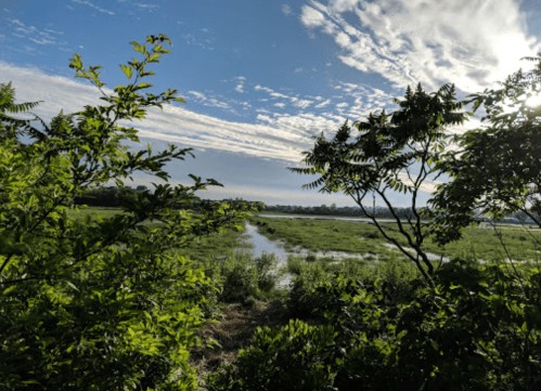 Lush green landscape with a waterway, framed by trees under a bright blue sky with scattered clouds.