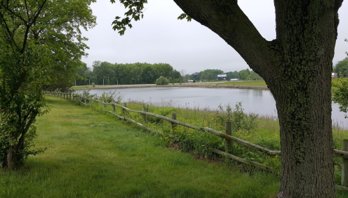 A serene landscape featuring a calm pond surrounded by greenery and a wooden fence under a cloudy sky.