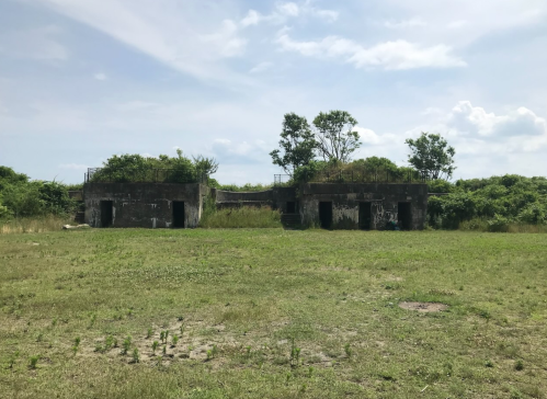 Two abandoned concrete structures covered in greenery, set against a cloudy sky and surrounded by open grassland.