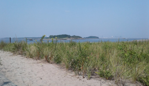 A sandy beach with tall grass, overlooking a calm waterway and a distant island under a clear blue sky.