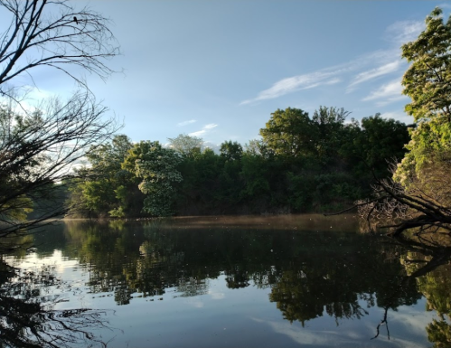 A serene river scene with trees reflecting in the calm water under a clear blue sky.