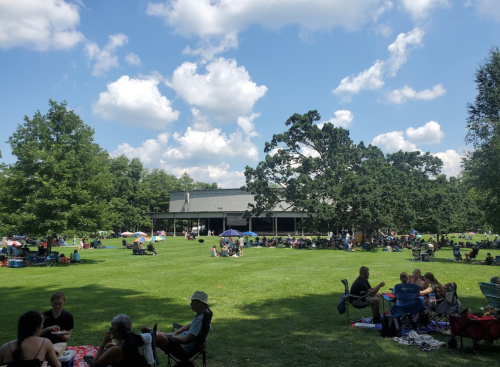 A crowded park with people sitting on the grass, enjoying a sunny day under a blue sky with fluffy clouds.