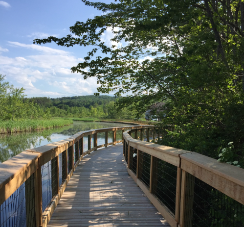A wooden boardwalk curves through lush greenery beside a calm waterway under a clear blue sky.