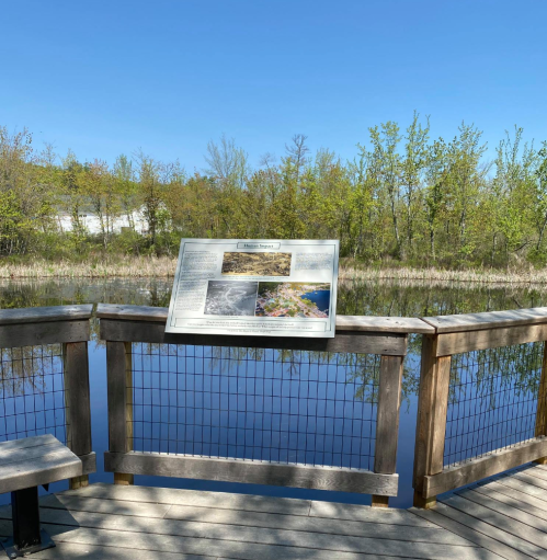 A wooden observation deck overlooking a calm pond, with a sign displaying information about the area and lush greenery in the background.