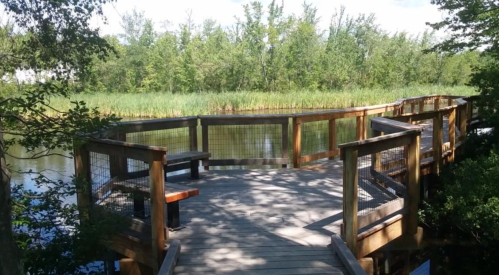 A wooden boardwalk curves over a calm waterway, surrounded by lush greenery and tall grasses.