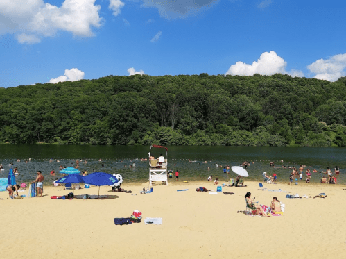 A sunny beach scene with people swimming, lounging on sand, and colorful umbrellas by a calm lake surrounded by greenery.