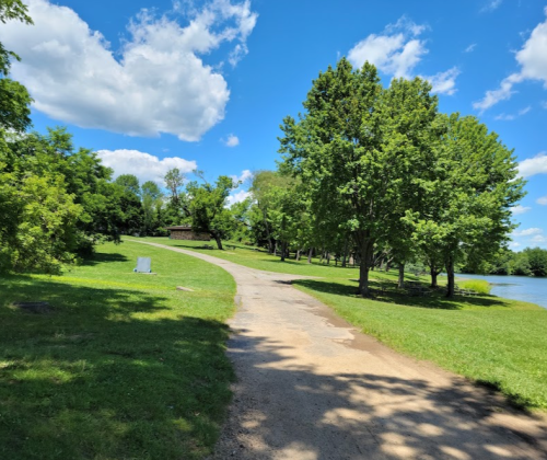 A scenic park path lined with trees, leading to a lake under a bright blue sky with fluffy clouds.