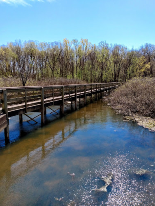 A wooden bridge stretches over calm water, surrounded by trees and greenery under a clear blue sky.