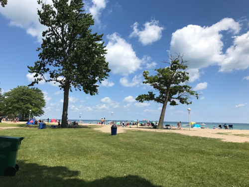 A sunny beach scene with people relaxing, trees, and blue skies with fluffy clouds.
