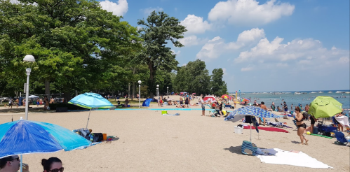 A sunny beach scene with people relaxing under colorful umbrellas, trees in the background, and a clear blue sky.