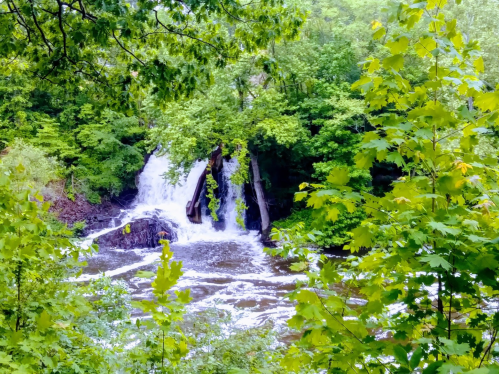 A serene waterfall cascades through lush green trees, surrounded by vibrant foliage and a flowing river below.