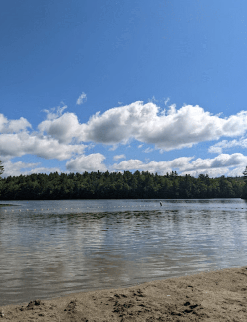 A serene lake scene with a sandy shore, blue sky, fluffy clouds, and lush green trees in the background.