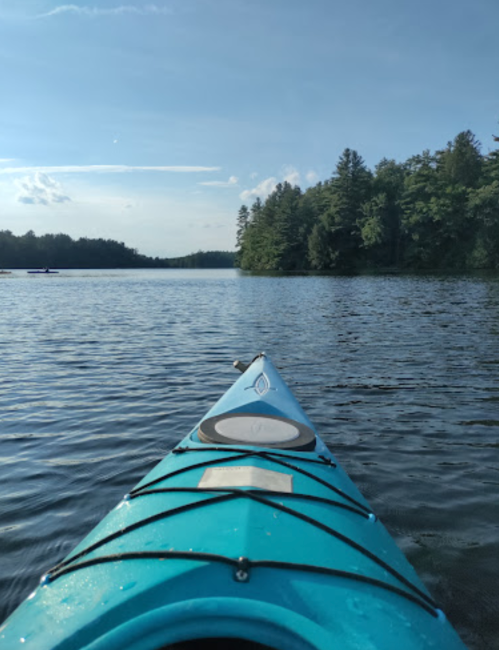 A view from the front of a blue kayak on calm water, surrounded by trees and a clear sky.