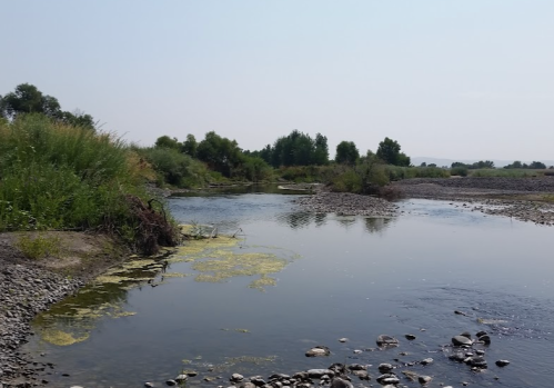 A calm river flows through a rocky landscape, surrounded by greenery and trees under a clear sky.