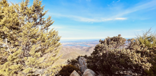 A scenic view from a mountain, featuring trees and a vast landscape under a clear blue sky.
