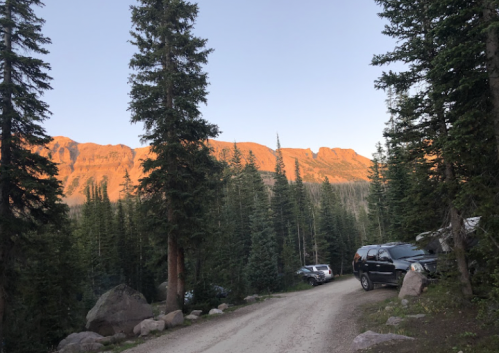 A dirt road lined with tall trees, leading to mountains bathed in sunset light, with parked cars visible on the side.