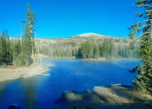 A serene lake surrounded by trees and mist, with a mountain in the background under a clear blue sky.