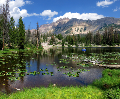 A serene lake surrounded by mountains, with lily pads and a small blue boat on the water under a clear blue sky.
