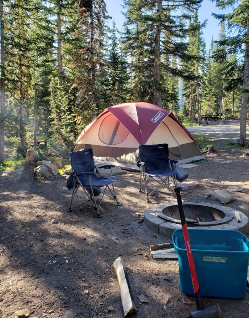A campsite with a tent, two chairs, a fire pit, and a blue container surrounded by tall trees.