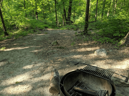 A serene forest campsite with a fire pit, surrounded by trees and a gravel path. Sunlight filters through the leaves.