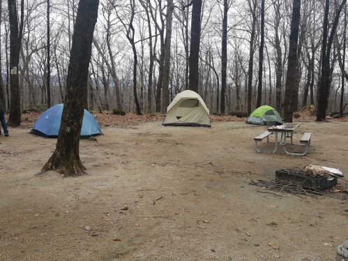 A campsite with three tents and a picnic table, surrounded by bare trees and a sandy ground.