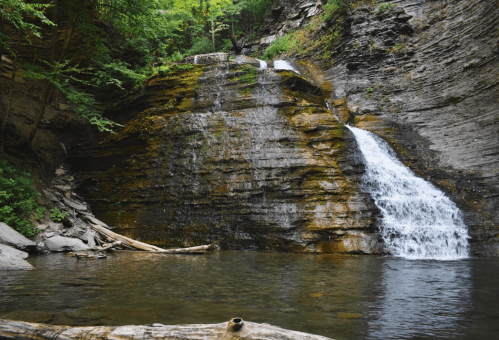 A serene waterfall cascading over rocky cliffs into a calm pool, surrounded by lush greenery.