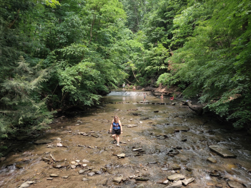 A person wades through a shallow stream surrounded by lush green trees and rocky terrain. Others are visible in the background.